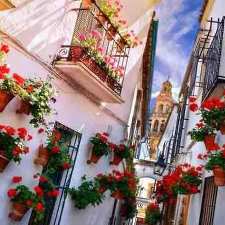 Apartamento Con Jardin Y Piscina En Córdoba Eksteriør billede