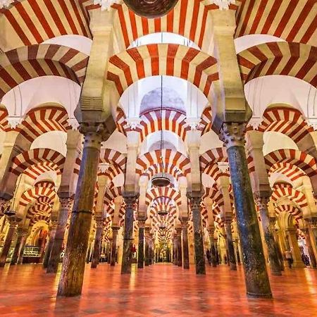 Apartamento Con Jardin Y Piscina En Córdoba Eksteriør billede