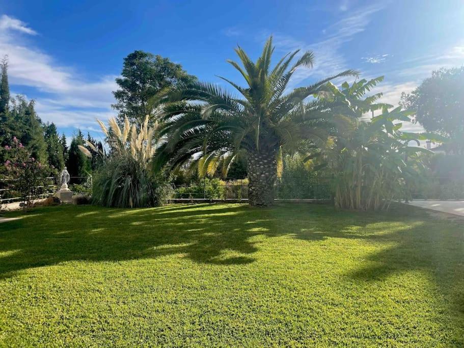 Apartamento Con Jardin Y Piscina En Córdoba Eksteriør billede